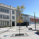 Illustration for article titled Pics from the Curbside: 2018-10-14 to Kitsilano Secondary School